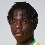 Ndemeni Bastien Meupiyou Menadjou