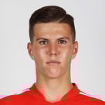 Ž. Jevšenak