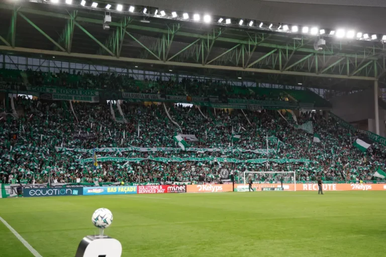 Geoffroy-Guichard
