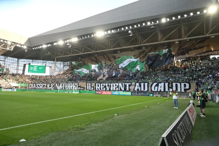 Geoffroy-Guichard